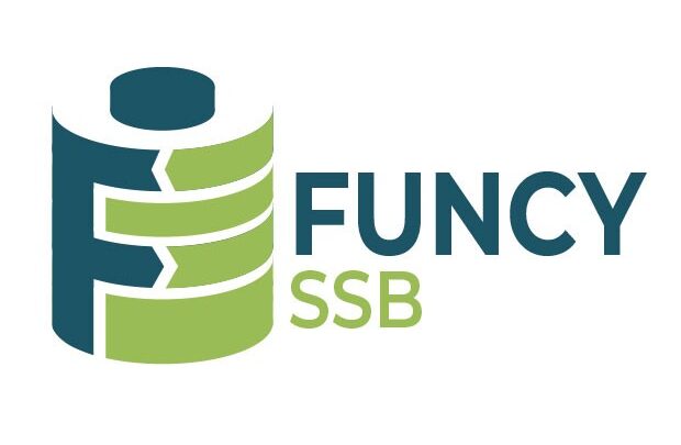 Logo von FUNCY-SSB-Projekt (FUNctional Coatings of sulfide electrolYtes for lithium Solid-State Batteries)